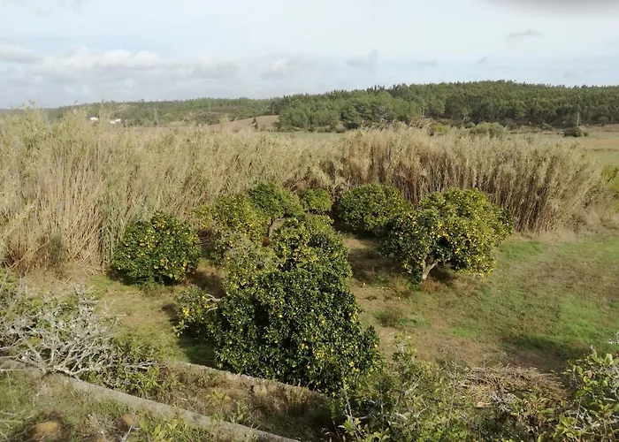 度假居 Quinta Do Pinhal Novo Chabouco